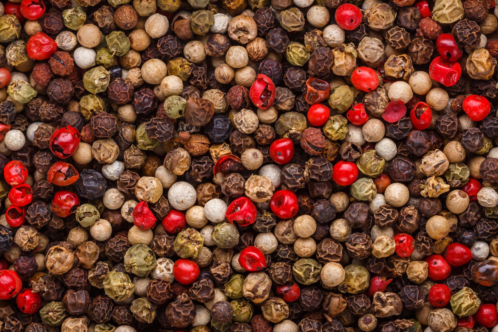 Black peppercorns close up - Malabar and Tellicherry black pepper exported by Orifields International India