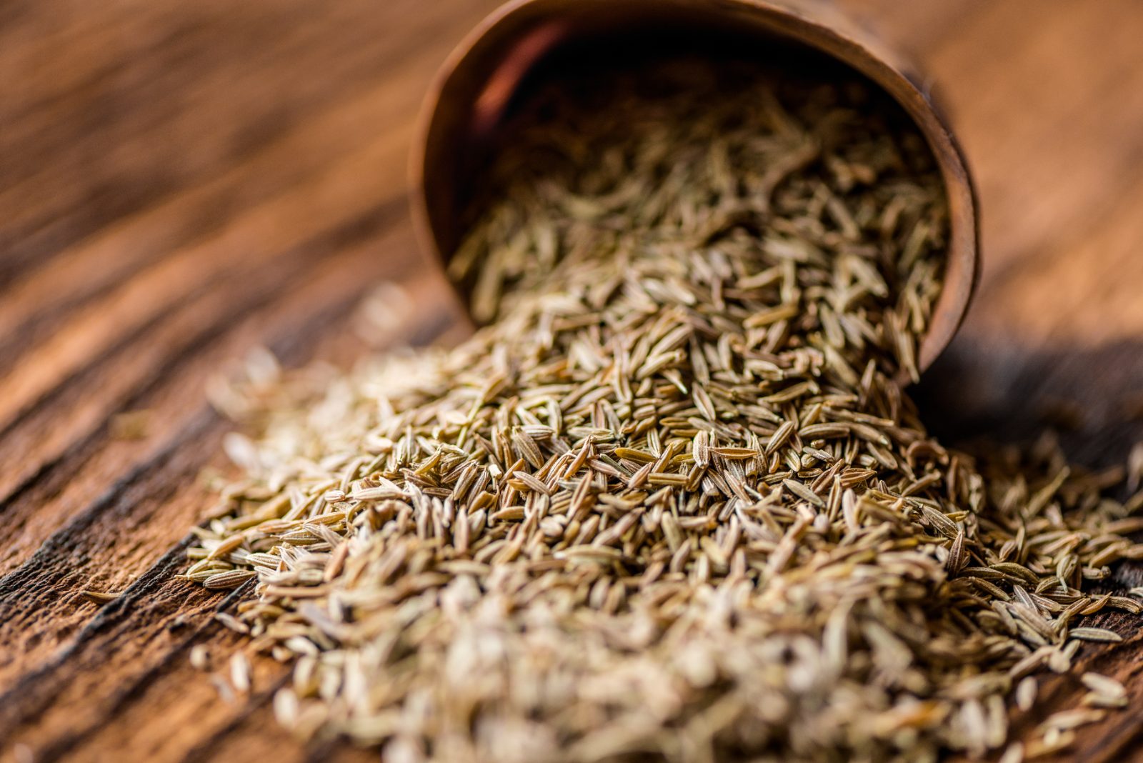 Cumin seeds jeera - Gujarat and Rajasthan cumin exported by Orifields International India