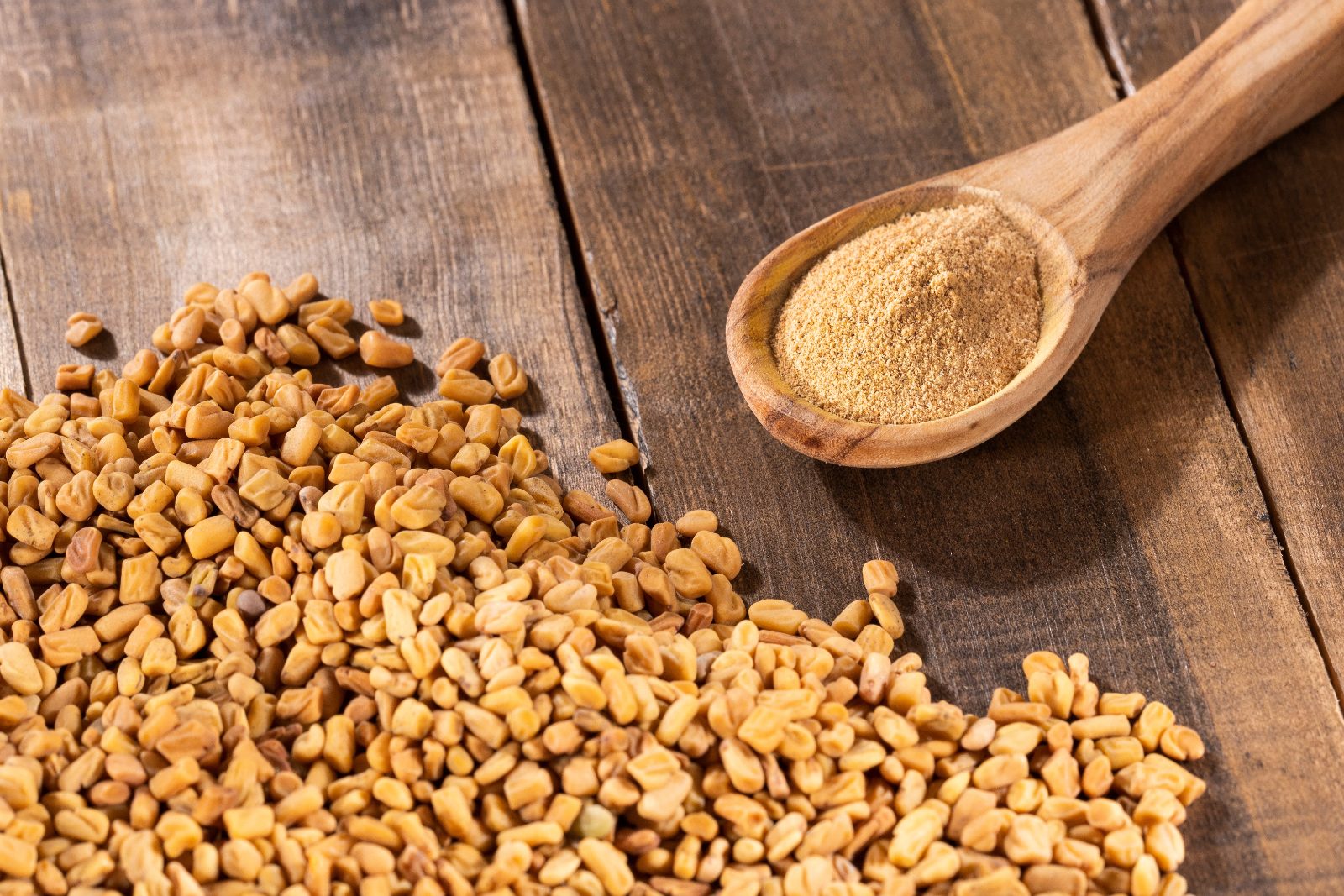 Fenugreek seeds methi - Rajasthan fenugreek exported by Orifields International India