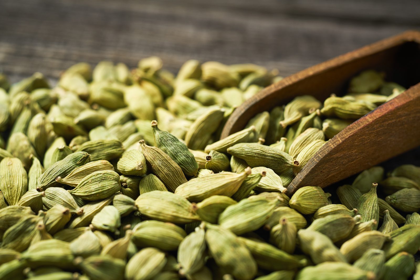 Green cardamom pods - Idukki Kerala green cardamom exported by Orifields International India