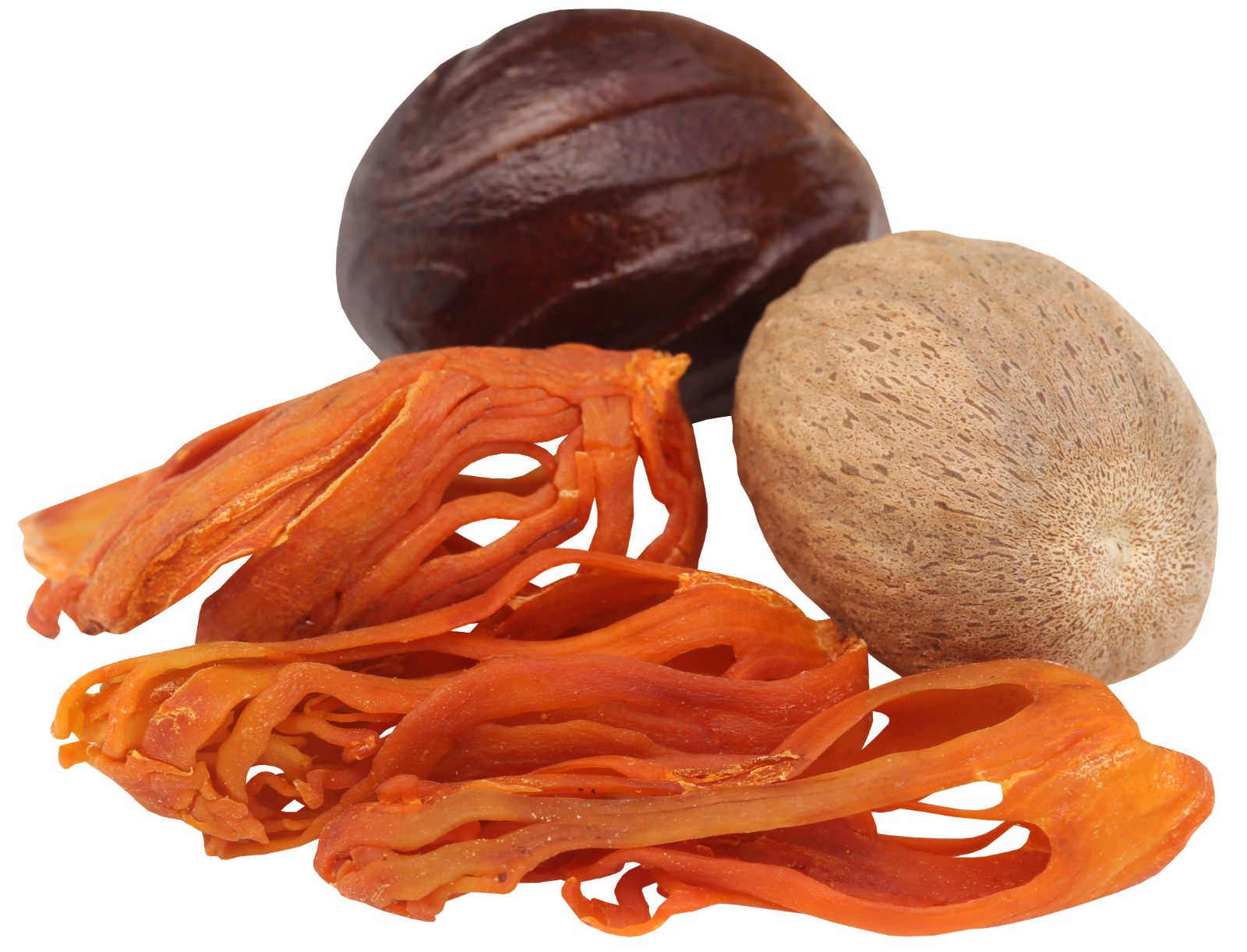 Mace javitri and nutmeg - Kerala mace and nutmeg exported by Orifields International India