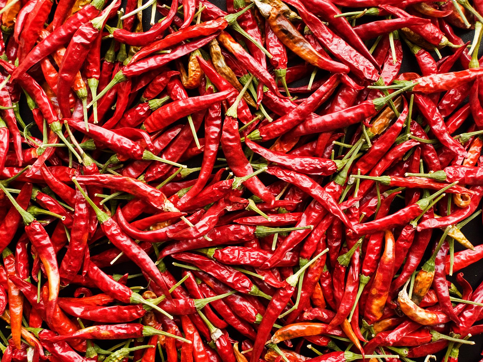 Dried red chillies - Kashmiri Guntur and Byadagi chilli exported by Orifields International India