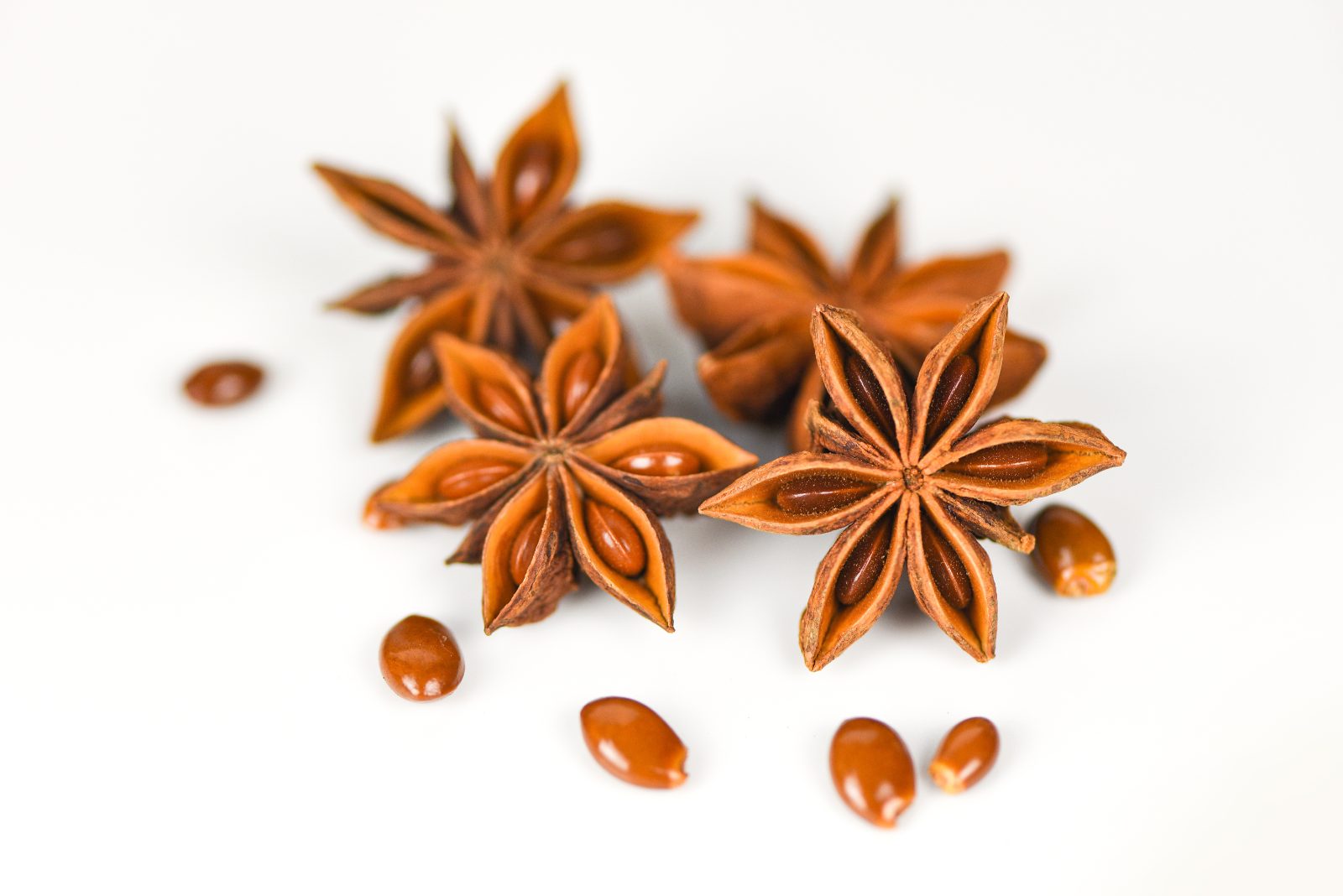 Whole star anise pods - Grade A star anise exported by Orifields International India